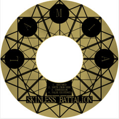 SkinlessBattalion - False Existence