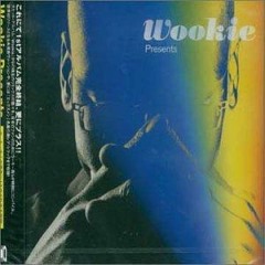 Wookie - back up (dj zinc remix)