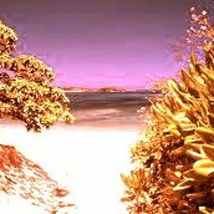 Venus' Summertime Hustler mix  (Soul Funk nu disco vol 1)