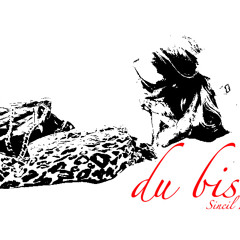 Der E1ne - du bist (Sincil Remix)