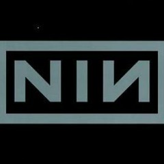 Nine Inch Nails - Echoplex (Count_Calculus Remix)