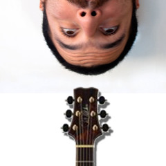 PROYECTOSOLO---Flor silvestre