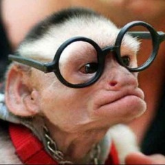D-Addiction - Bass Monkey