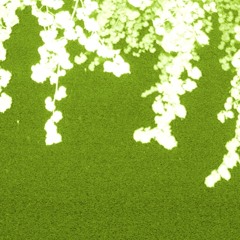 L. Kohle - Hallack [Again No Presets]