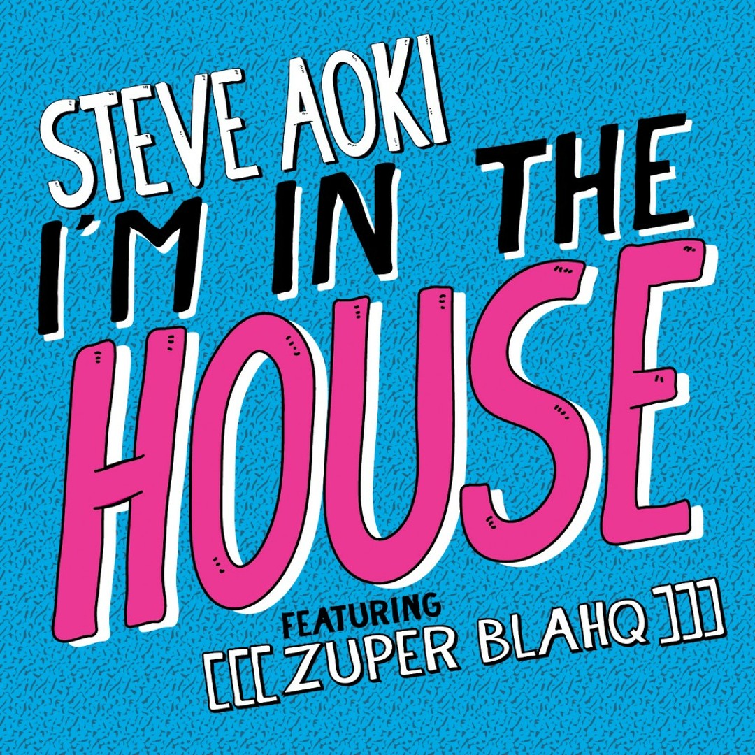 RARE VINYL STEVE AOKI／I'M IN THE HOUSE Stream Steve Aoki - I'm In The House feat [[[zuper blahq