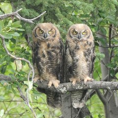 Pirate Planet: Station 1