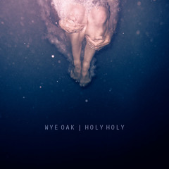 Wye Oak - Holy Holy