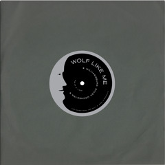 Williamsburg Salsa Orchestra - Young Folks