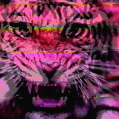 Future Disco Meets FrenchTouch (Mixtape)