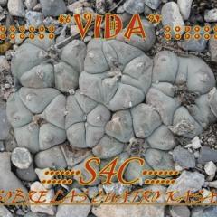 S4C Sobre Las 4 Casas - Vida