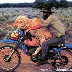 Git yer purse git in the truck