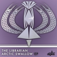 The Librarian - Arctic Swallow