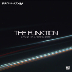 The Funktion - Losing You - Proximity Recordings