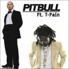 Pitbull-Shake Senora Remix (feat. T-Pain,Sean Paul & Ludacris) Clement Easy Mix