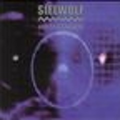 State of Emergency (beat beyond recognition mix) ~ Suicide Commando ft Velvet Acid Christ