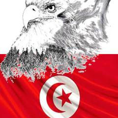 شفيقة ومتولي