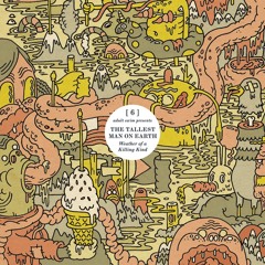 The Tallest Man On Earth - Weather of a Killing Kind