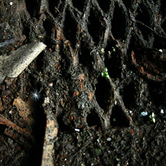 D.Side - Crooked Craft