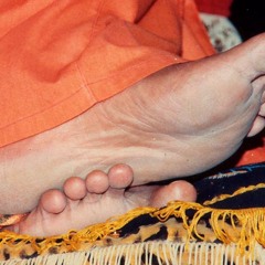 Manasa Bhaja Rey Guru Charanam  Sung by Bhagavan Sri Sathya Sai Baba