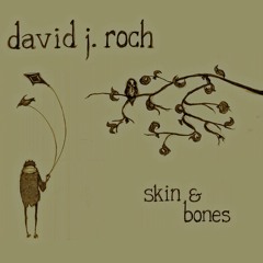 David J Roch - Skin & Bones
