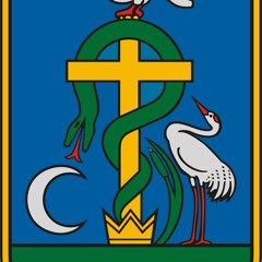 The Other Self  by SHIVA-Egy a tűz