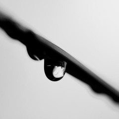 Texx - last drop (cut)