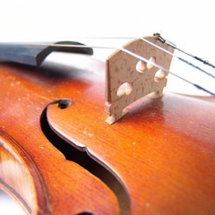 Mendelssohn Violin Concerto (Recorded by Emily Merron)