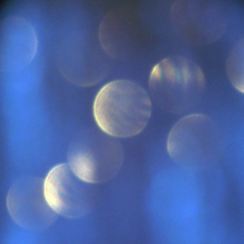 Out of Focus