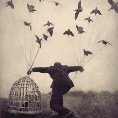 Up (super rough edit)