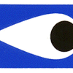 Neighborhood Watch Force