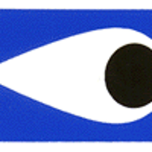 Neighborhood Watch Force