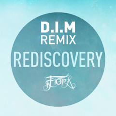 Rediscovery (d.i.m. Remix)