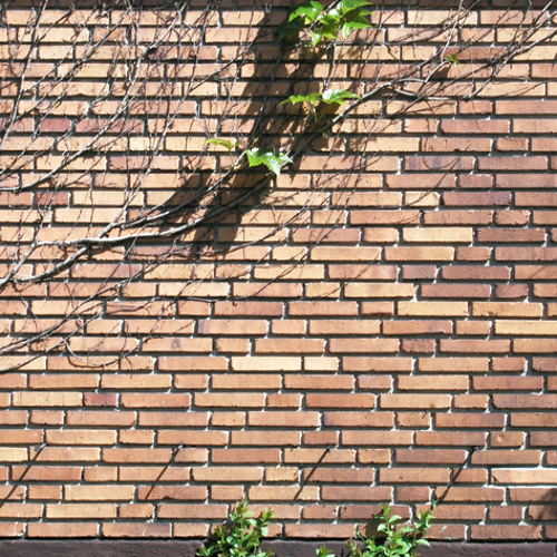 Brickwall Brigade - Celsius (dub)