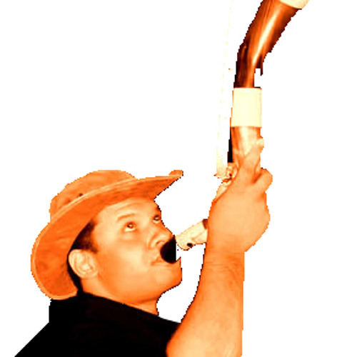 sertanejo 3