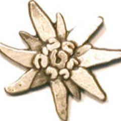 In Junkers Kneipe - Edelweisspiraten Cover