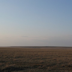 yann tiersen - comptine d'un autre été: l'après-midi (ayadi remix - le rêve du poulain)