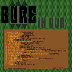 Natty Wallo - BURE in DUB (Promo mix for Bure festival 2011)