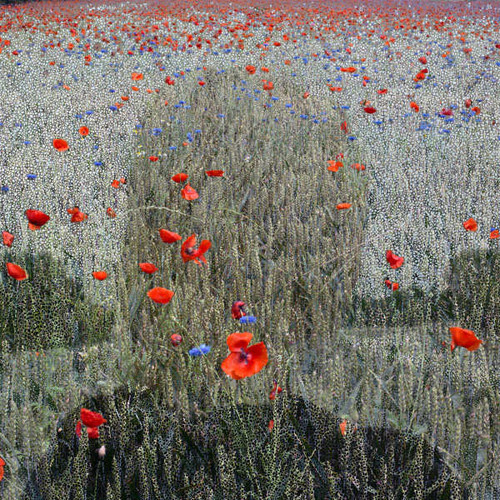 مة زهةرى خالقی)