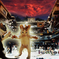 Catfight