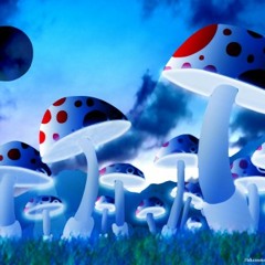 Jojo-excelent(tribe)