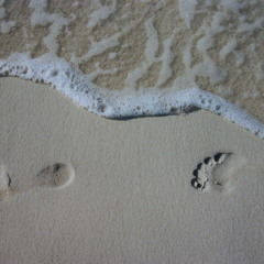 Your Head on My Shoulder