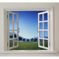 Novelty Windows