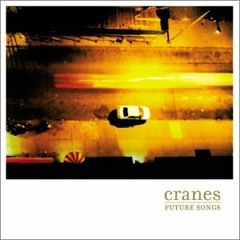 Sunrise - Cranes cover