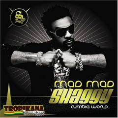 Mad mad cumbia world