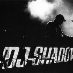 DJ Shadow - Midnight In A Perfect World (FSG)