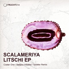 Scalameriya - Detour (Stefano Infusino Remix) FRUCHT014