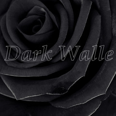Rainy Afternoon - DarkWalle [Walle Dj]