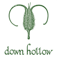 Down Hollow - Proxy By Proxy (Part1)