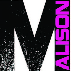Aerosmith-Janies Got A Gun (Malison.Remix)