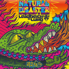 Laidback Luke - Natural Disaster (Instrumental Mix)